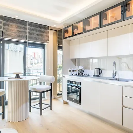 Mayer Skycon Besiktas