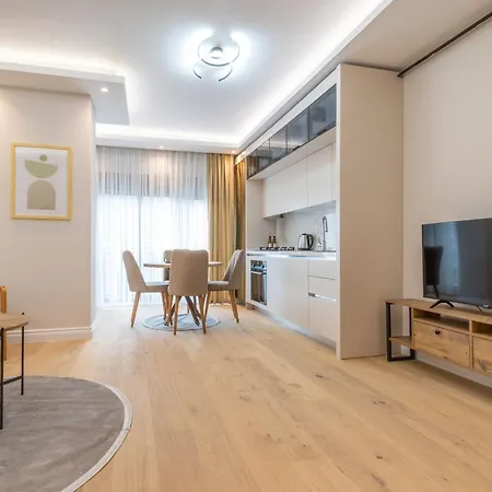 Mayer Skycon Besiktas Provincia di Istanbul