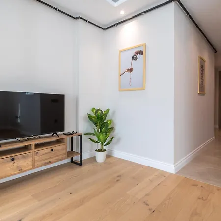 Mayer Skycon Besiktas