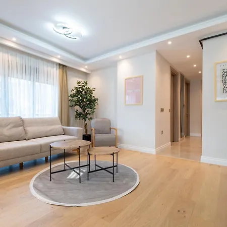 Mayer Skycon Besiktas