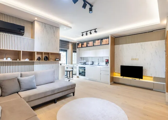 Mayer Skycon Besiktas *