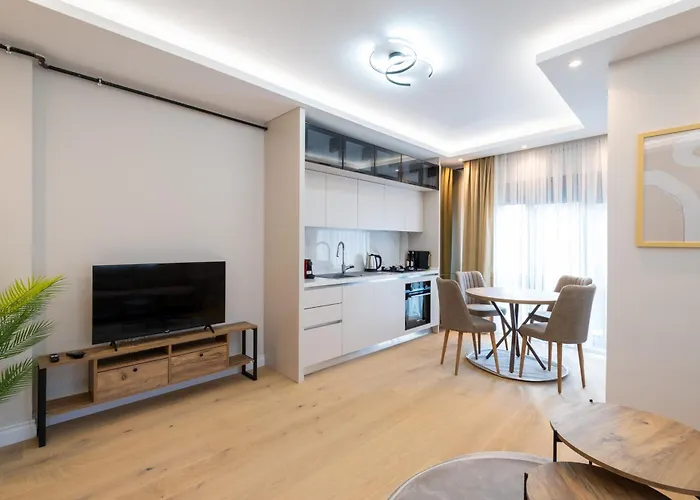 Mayer Skycon Besiktas *