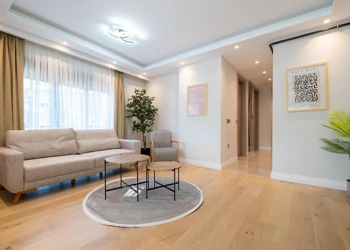 Mayer Skycon Besiktas