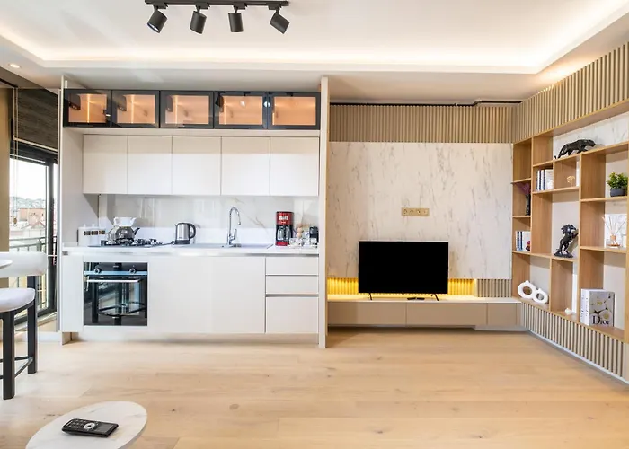 Mayer Skycon Besiktas *