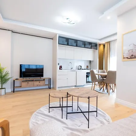 Mayer Skycon Besiktas Istanbul