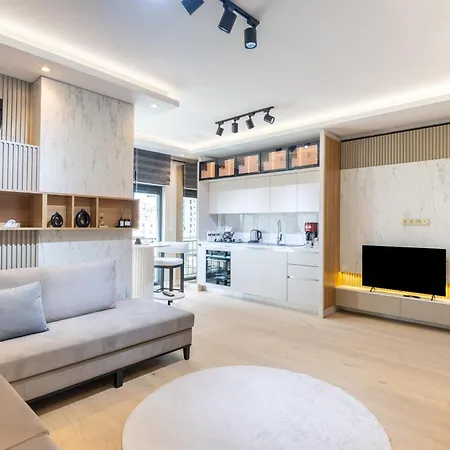 Mayer Skycon Besiktas *